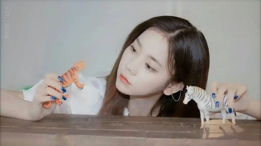 【转载】文艺女青年张紫宁的诗