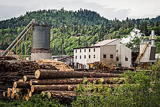锯木场图片