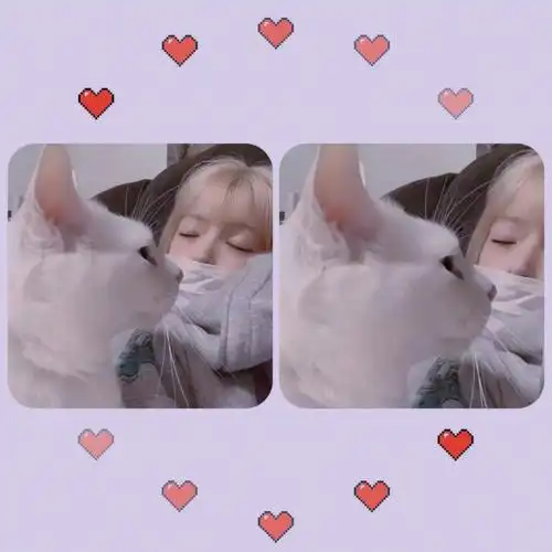 对象不是人系列情侣头像