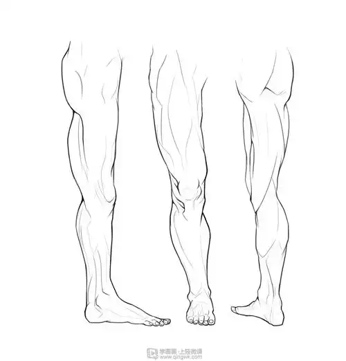 《rh-13-046 小边哥  临摹腿—腿部人体肌肉结构入门训练》by 小边哥