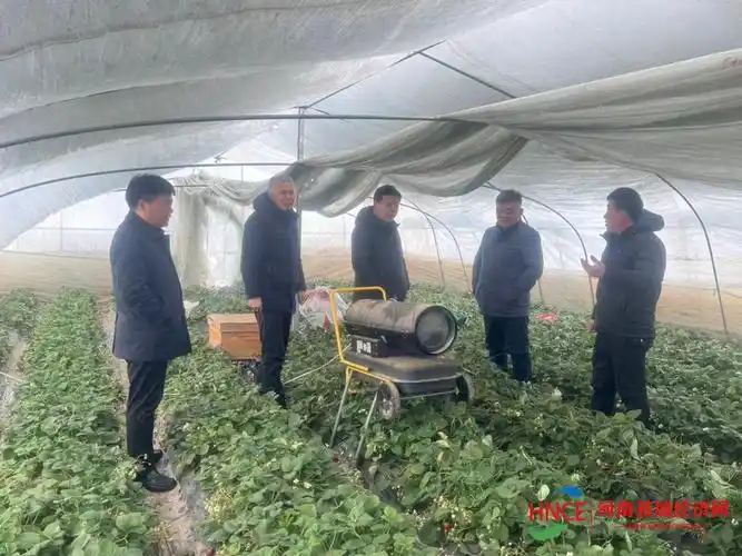 商丘市梁园区观堂镇开展"除冰雪 保畅通"活动_积雪_群众_保障