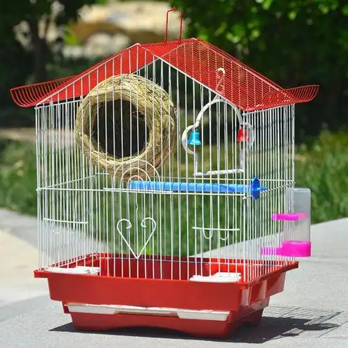 笼子鸟鹦鹉小型虎皮黄桃牡丹文画眉珍珠家用豪华繁殖一件批发跨境