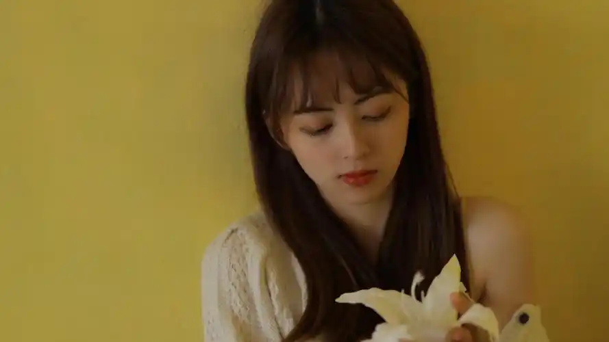 高级质感高颜值少女心壁纸