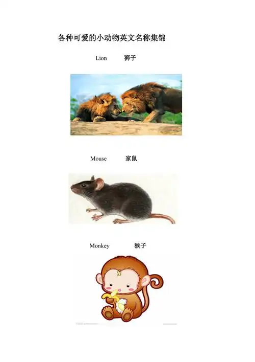 小动物的英文名称集锦