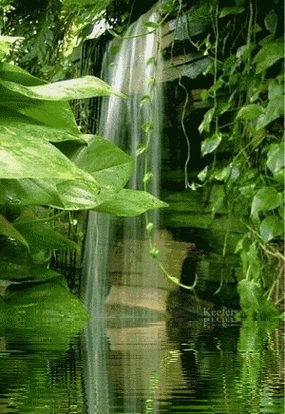 最美的山水风景动态图人间天堂