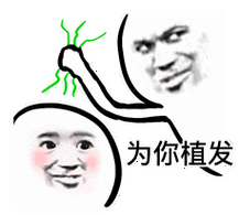 拔头发表情包11张