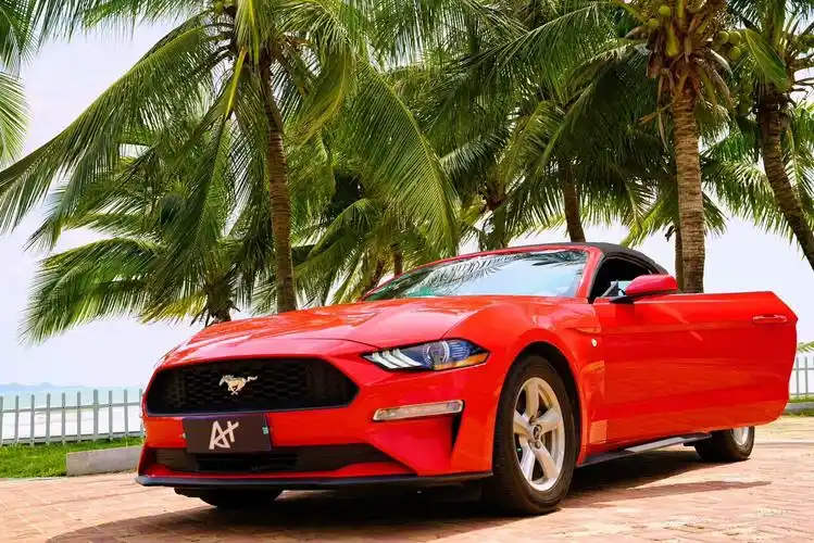 野马敞篷跑车600元