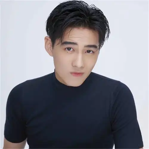 假发男中分韩版帅气