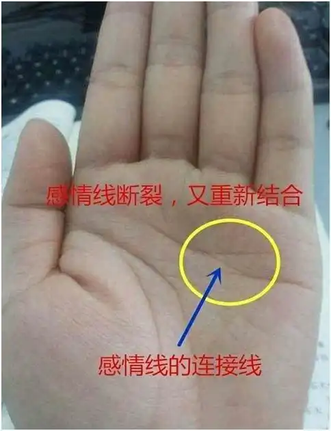 一辈子必有二婚命的手相离婚指数偏高