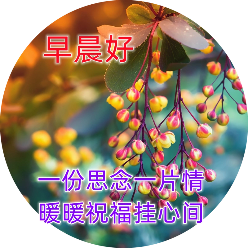 周五最漂亮的早安祝福唯美图片带字温馨 早上问候表情图片唯美