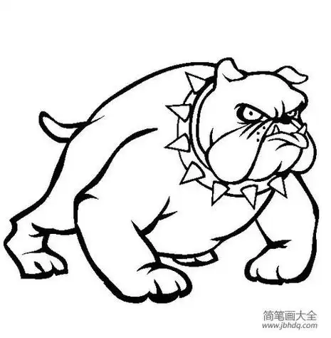 墨西哥布波犬简笔画