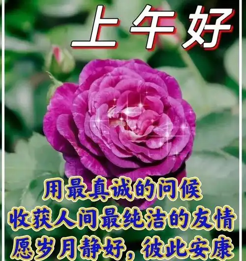 早上好|好心情_网易订阅