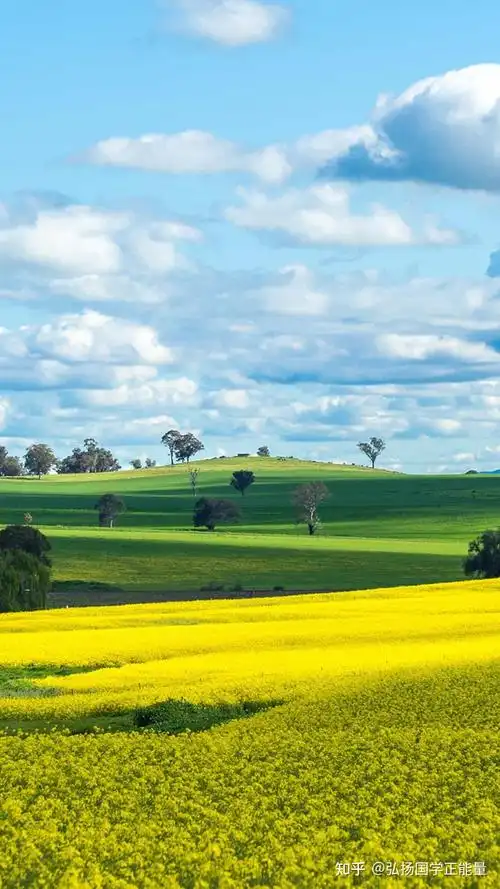 属虎人生于十一月,大雪之时,四方皆敌,出行艰难,忧愁不决,家运复杂