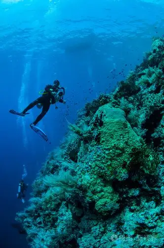 潜水员在印度尼西亚班达水下照片游泳