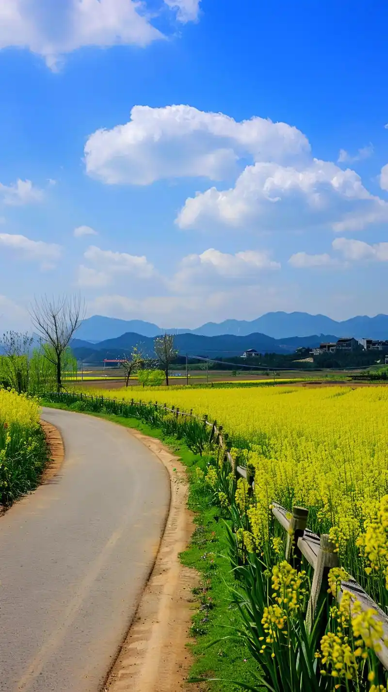 春天一定不能错过的美景 #赏花听歌美景如画 #谁不喜欢这满 - 抖音