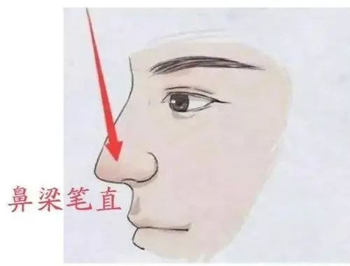 鼻梁很挺直并且直通印堂的鼻子是好鼻相