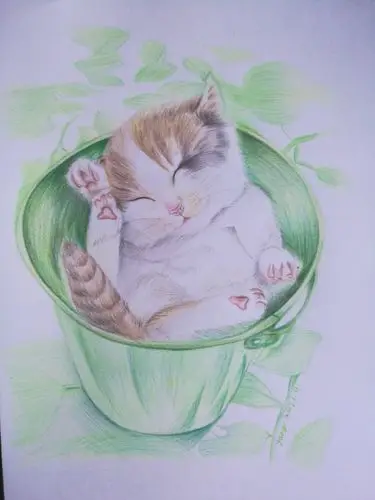 彩铅可爱的猫咪含两款步骤图