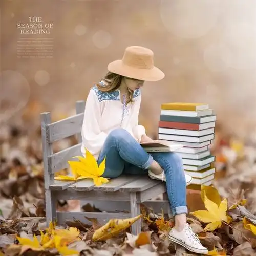创意读书会森林落叶咖啡草地长椅书本海报