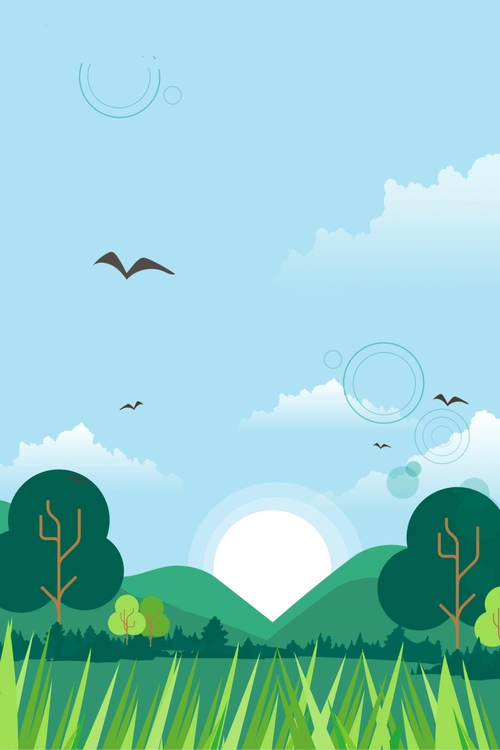 绿水青山文艺绿色蓝天banner