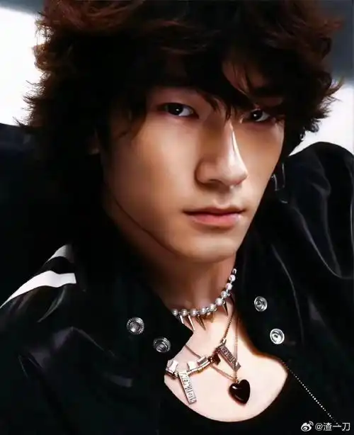 16岁的天天无论是身高,体型,外貌都和张亮如出一辙!