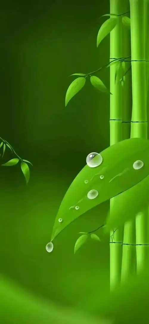 绿色养眼高清壁纸