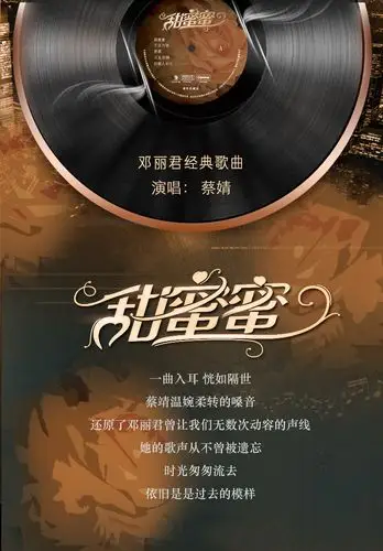 原装正版 蔡婧 甜蜜蜜(邓丽君经典名曲) 180g lp黑胶唱片 留声机专用