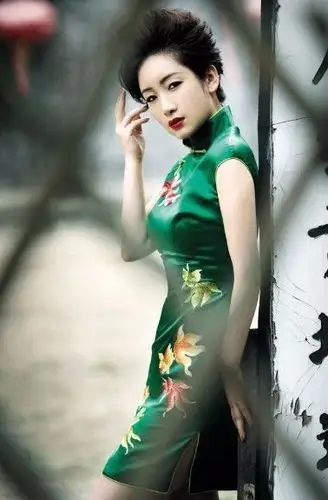 穿旗袍,看明星之:秦海璐