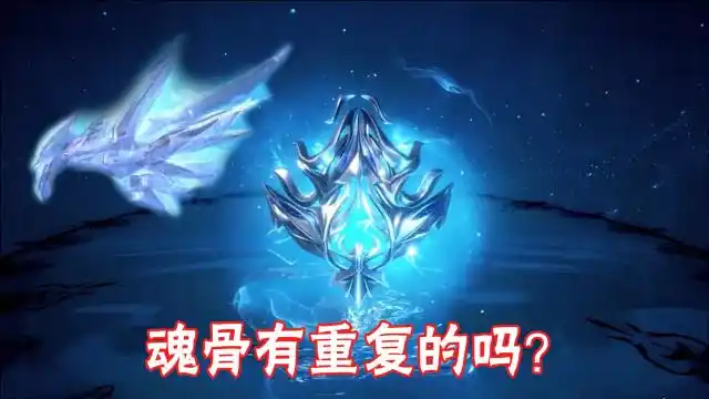 斗罗大陆:魂兽那么多,整个大陆就没有重复的魂骨吗?