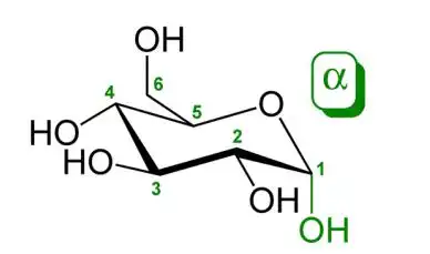 糖类的检测前沿