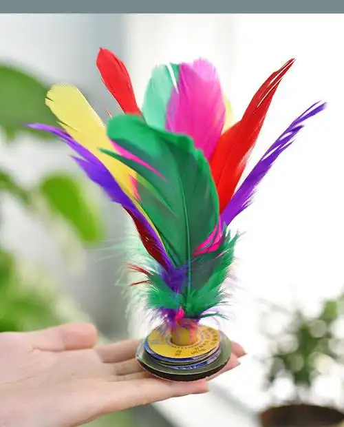 毽子鹅毛毽球比赛儿童运动学生耐踢牛筋底训练鸡毛 比赛大白毽16cm(3