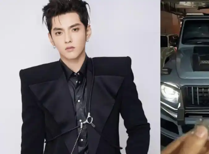 急需现金:吴亦凡母亲600万出售爱子豪车?