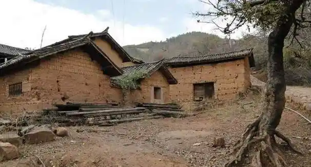 农村老话:"家中出四兆,富贵枕边绕","四兆"是啥?你家有吗|燕子|旺财|