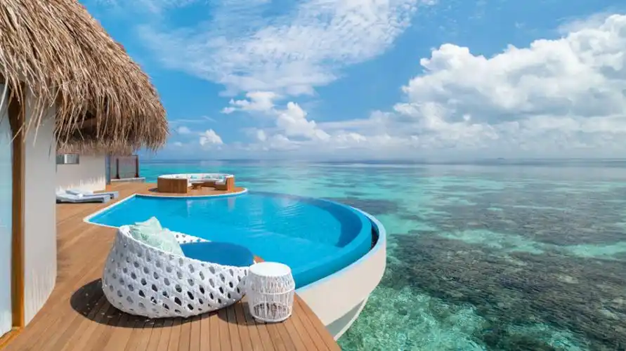 印度没想到被马尔代夫割了一轮韭菜那位亲华总统不是一般人