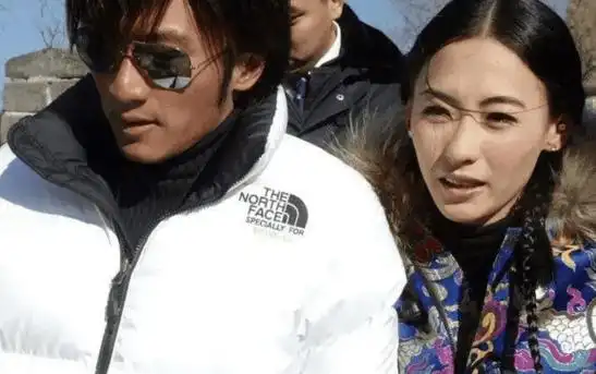 谢贤已经默许,王菲谢霆锋破镜重圆,返港后直接住在谢霆锋家里