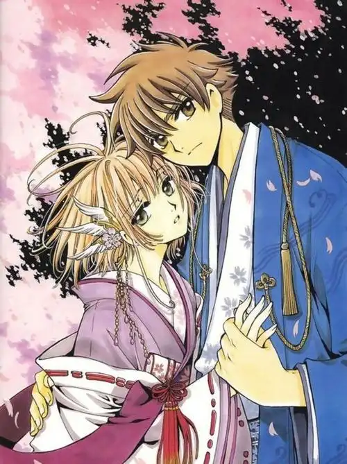 《翼年代记》之不一样的小樱小狼,华美精致!