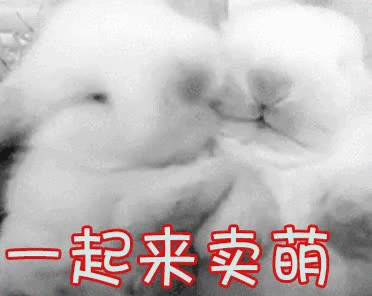 热点热门 萌宠表情 萌娃表情 斗图表情 锦鲤 土味语录 套路图 来自