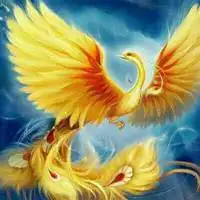 漂亮的凤凰图片大全微信头像点击鼠标右键下载