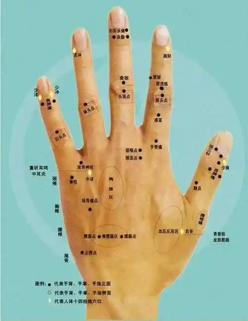 手上长痣面相图脸上长痣面相图怎么分左右