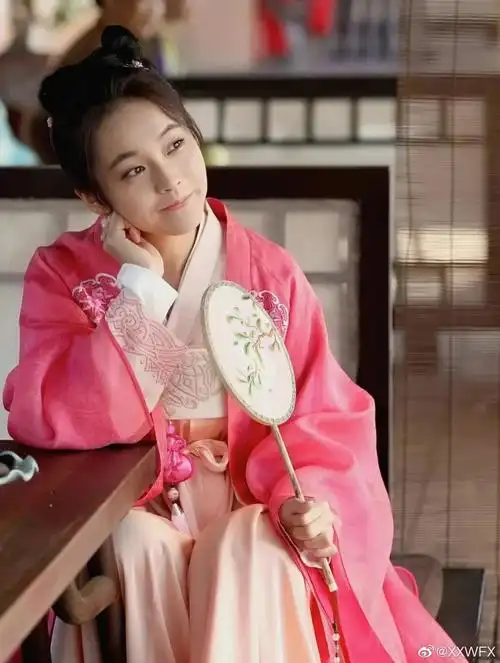 《知否知否应是绿肥红瘦》盛如兰《决胜法庭》傅小柔《如懿传》颍妃