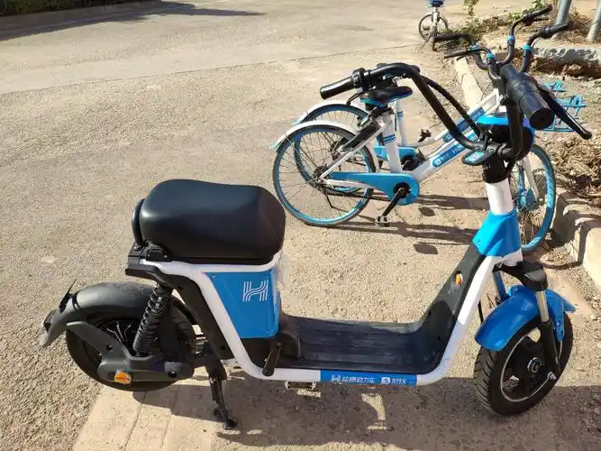 哈罗电动车真的赚钱吗,目前共享电动车有什么缺点?