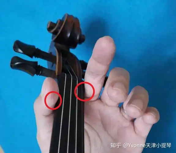 一分钟小课堂抓住这两点轻松掌握小提琴左手手型