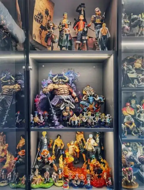 去宅男朋友家里玩儿结果被震惊了,没想到他房间竟然有一整面墙的手