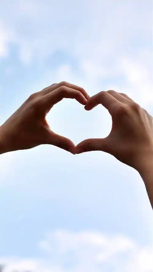 浪漫夕阳手比心形关于情侣,浪漫,小清新,爱情,情人节