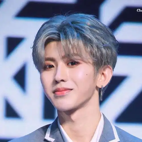 奶奶灰假发男蔡徐坤同款中分刘海短卷发韩版帅气时尚自然蓬松隐形 浅