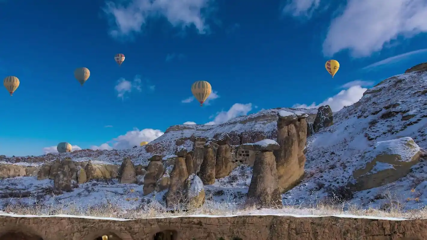 气候多样性的土耳其,是极为丰富的农作物,你听说过吗