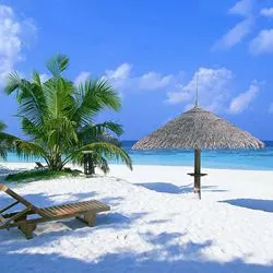 椰林沙滩大海_风景头像图片_扣扣居