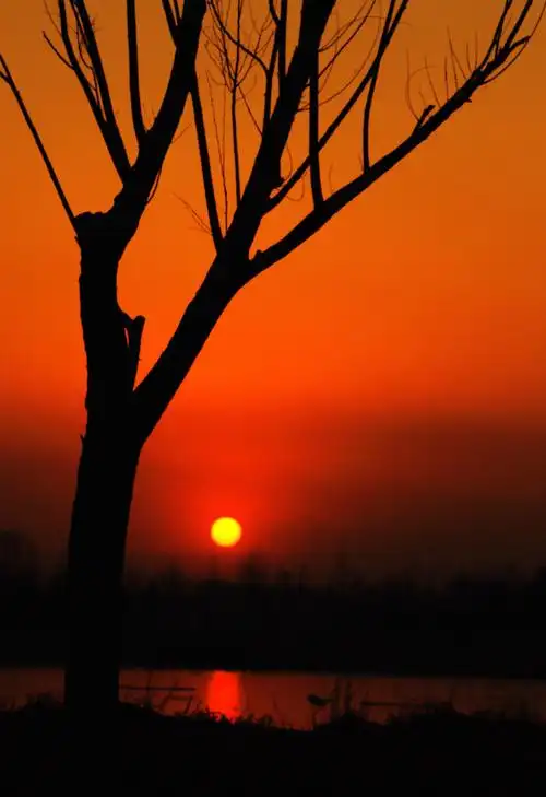 夕阳西下几时回?