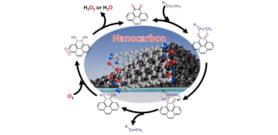 中科院金属研究所齐伟课题组碳催化反应动力学和机理研究取得新进展
