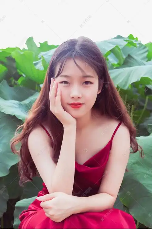 荷叶美女女孩少女人物