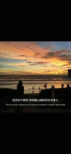 抖音热图伤感文字壁纸爱情十有九悲78